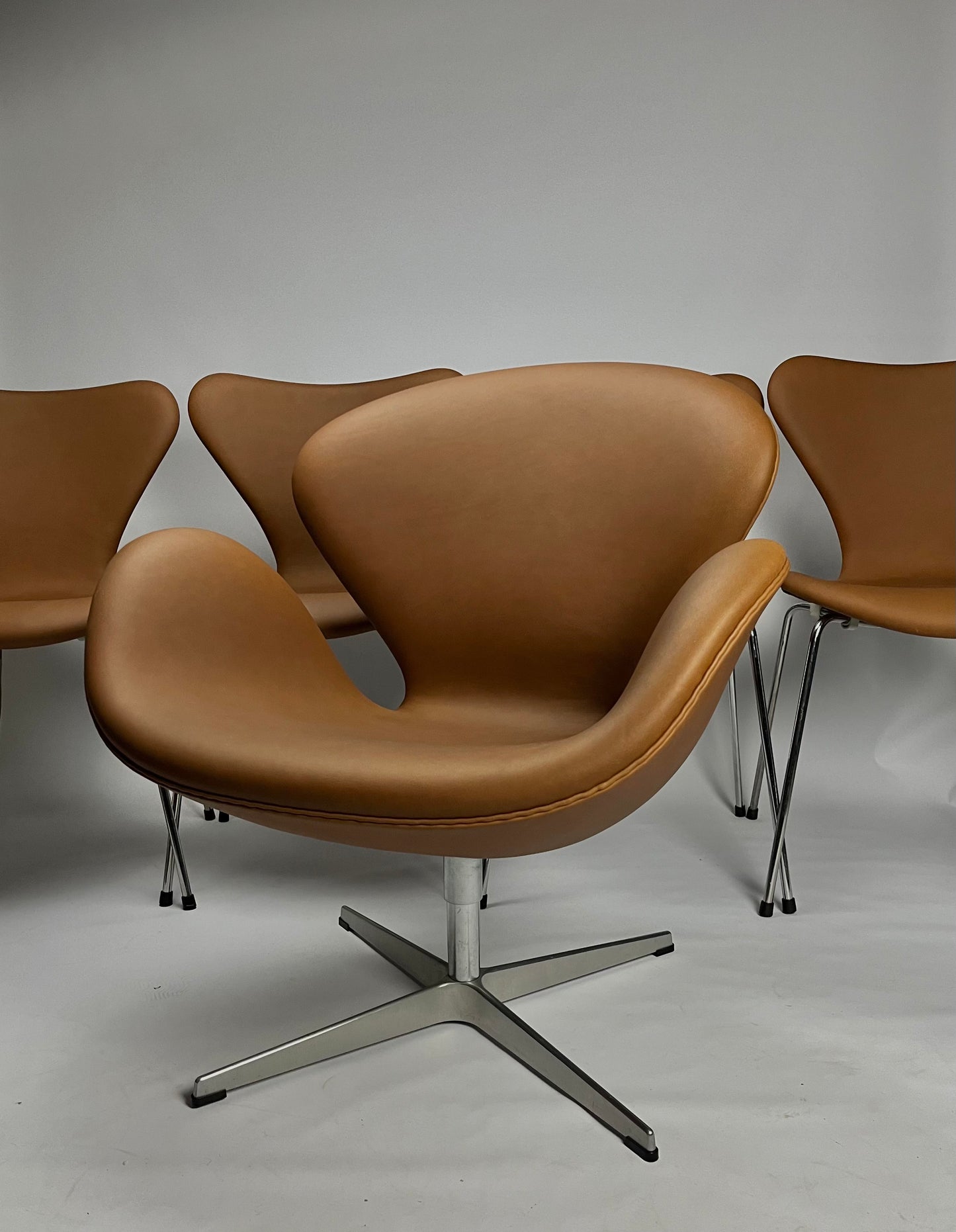 Arne Jacobsen 7's / Elegance Hasselnöt